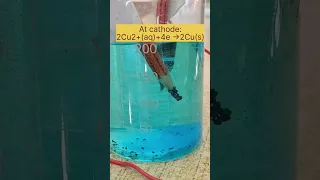 Electrolysis of copper sulphate (CuSO4) experiment|#shorts #electrolysisexperiment #electrochemistry