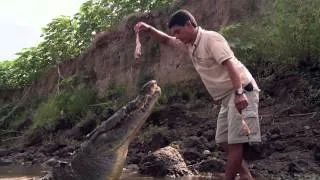 Touching the Dragon - The Croc Callers of Costa Rica