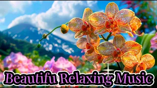 Beautiful Relaxing Music for Mind and Body Healing #stressrelief #relaxation #peacefulsounds