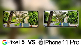 Google Pixel 5 Vs iPhone 11 Pro Camera Test