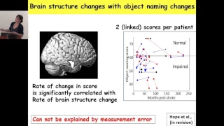 "Understanding functional reorganization to explain recovery of language after stroke", Cathy Price