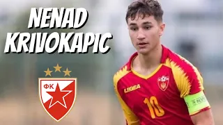 Nenad Krivokapic • FK Crvena Zvezda • Highlights Video (Goals, Assists, Skills)