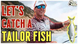 Ultimate Beach Fishing Adventure | Tips & Tricks to Catch a Tailor Fish | StepOutside with Paul Burt