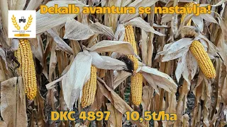 Dekalb avantura se nastavlja! | DKC 4897