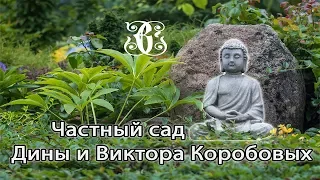 Частный сад Дины и Виктора Коробовых. Японский сад с чайным домиком под Петербургом.