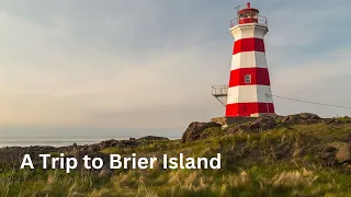 Brier Island - A Natural Wonder