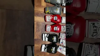 Pro Fight Gloves Everlast MX 2.0-ELITE -ProTex 3 Winning-Reyes Safetec 🥊🥊🥊