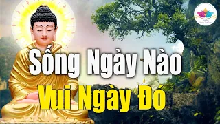 Mỗi Đêm Nghe | SỐNG ngày nào VUI ngày đó "Rất Hay".