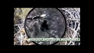 Bigfoot Spotted On Eagle Cam In Michigan - Fox News