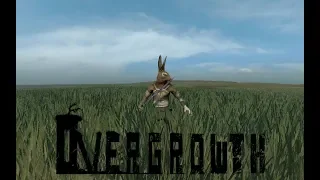 Overgrowth: Немного стелса