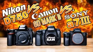 SONY a7 III vs NIKON D750 vs CANON 6D Mark II: Which To Buy