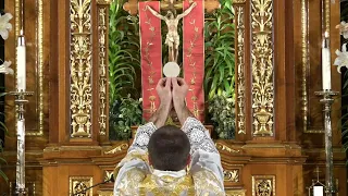 Live Stream - Divine Mercy Sunday Mass - (2002 Missal) April 7th