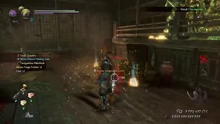 Nioh 2 Insane Early Fuma build