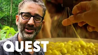 David Baddiel Learns The Secret Of How Silk Is Made | David Baddiel: On The Silk Road