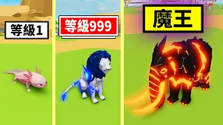 我從小動物開始進化，最後變成神話巨獸😲🐼🦑🦁！！！【Roblox 機器磚塊】