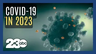 What will the covid pandemic look like in 2023?