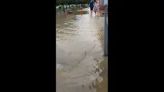 Потоп в Анапе! 14.08.21. утро на Пионерском проспекте. Жесть. Все затопило! 4к ВИДЕО