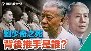 【歷史真相】劉少奇為何從毛澤東的親密戰友成了不共戴天的仇人？他淒慘的死亡背後隱藏著一張虛偽的面孔。｜薇羽看世間 第641期