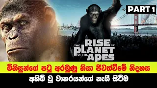 P1: මිනිසුන්ගේ පටු අරමුණු නිසා ජිවත්වීමේ නිදහස අහිමි වූ වානරයන්ගේ නැගී සිටීම | Sinhala Moviecaps