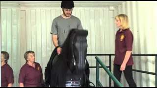 George The Mechanical Horse - Estuary TV News