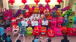 28 Traditional Lion Dance & 2 Dragon Dance with 3 Choy San Yeh, 2 Buddha