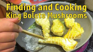 Foraging Edible Mushrooms (How to cook and find king bolete mushrooms)