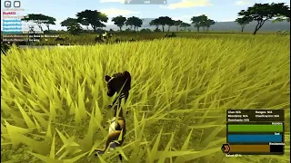 Killing a Thompson´s Gazzele on Wild Savannah