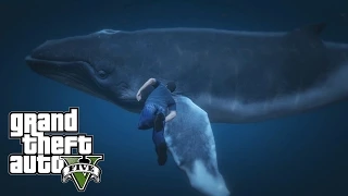 GTA V PS4 - A VERY HUGE WHALE!! And Hammer Head Sharks Location!