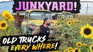 JUNKYARD JUNGLE! Will we find junkyard GOLD?! OLD TRUCKS!