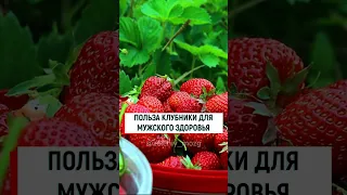 ПОЛЬЗА КЛУБНИКИ ДЛЯ МУЖСКОГО ЗДОРОВЬЯ