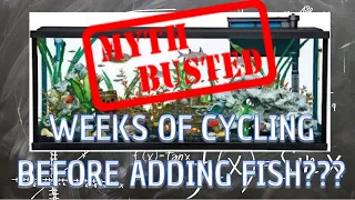 The Fish Less Cycle Myth! BUSTED!