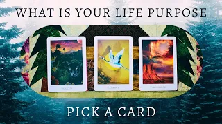 What is Your Life Purpose? 🌟 Pick a Card Reading