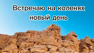 Христианская песня / "Встречаю на коленях, новый день"