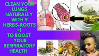 Cleanse your lungs naturally with herbs and roots to boost your respiratory health & immune system