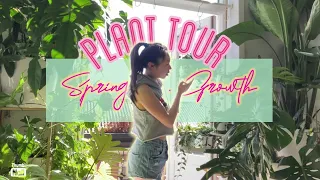 HOUSEPLANT TOUR of Spring Growth | CARE tips | Flowering updates | Hoya | Philodendron | Syngonium +