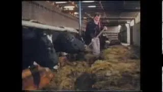 Farming in County Monaghan 1985