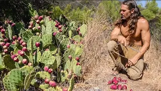 No Tools Prickly Pear Harvest