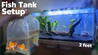 2 Feet Fish Tank Setup | Aquarium Decoration Ideas