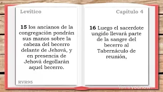 🔴 Libro de LEVÍTICO COMPLETO - La Biblia Hablada