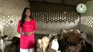 Bakri Palan