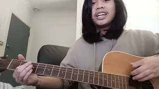 been a son - nirvana (cover acoustic)