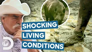 Most SHOCKING Homestead Living Conditions! | Homestead Rescue