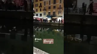 Nightlife in Navigli, Naviglio Pavese, Naviglio Grand , Italia, Italy, MILANO, Milan, Μιλάνο, Ιταλία