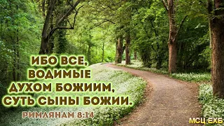 Все водимые Духом Божиим, суть сыны Божии". А. Костенко. МСЦ ЕХБ.