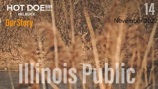 14 | Illinois Giant at 30 Yards!!!! | Public Land | Our Story '22