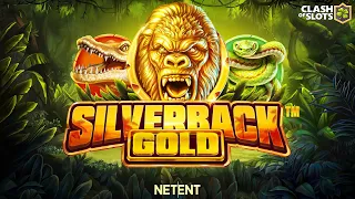 x2315 Silverback Gold  (NETENT) Online Slot EPIC BIG WIN