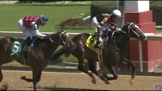 Copper Echo (#4) WINS on 3/23/2024 at Oaklawn Park