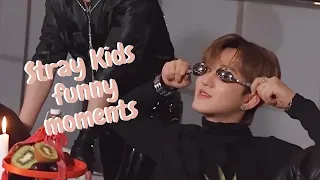 Stray Kids kinda funny moments pt. 11