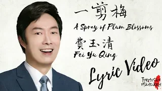 一剪梅 A Spray of Plum Blossoms - 费玉清 Fei Yu Qing ( Chinese / Pinyin / English Lyrics 歌詞 )