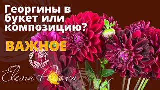 Георгины в букет или композицию. Советы флориста. Обработка цветов. Флористика для начинающих.